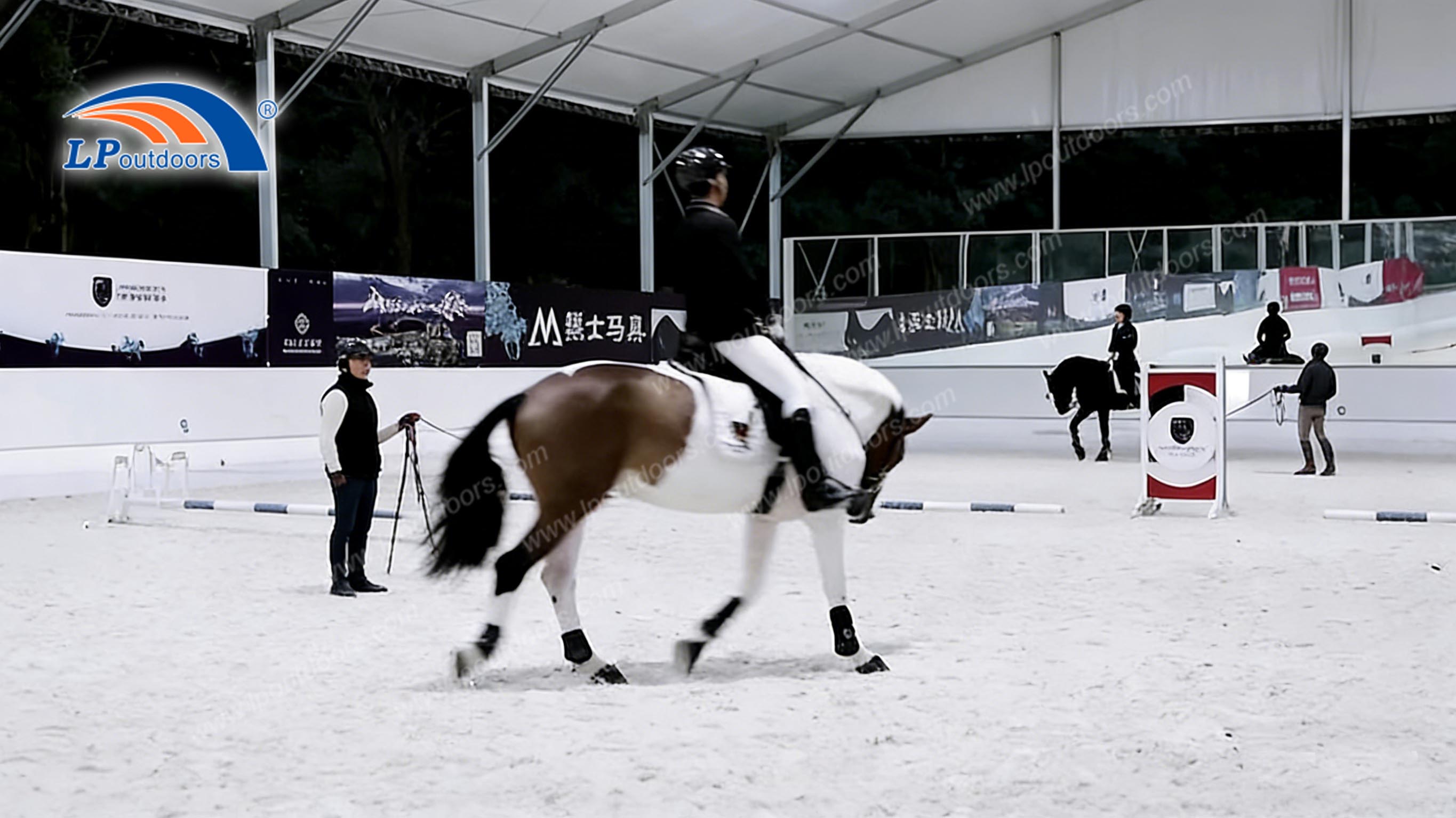Salle d'équitation à vendre | Arène d’entraînement équestre couverte